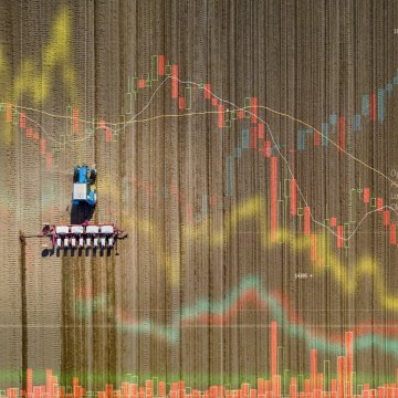 El cierre del mar negro pone en peligro la seguridad alimentaria mundial
