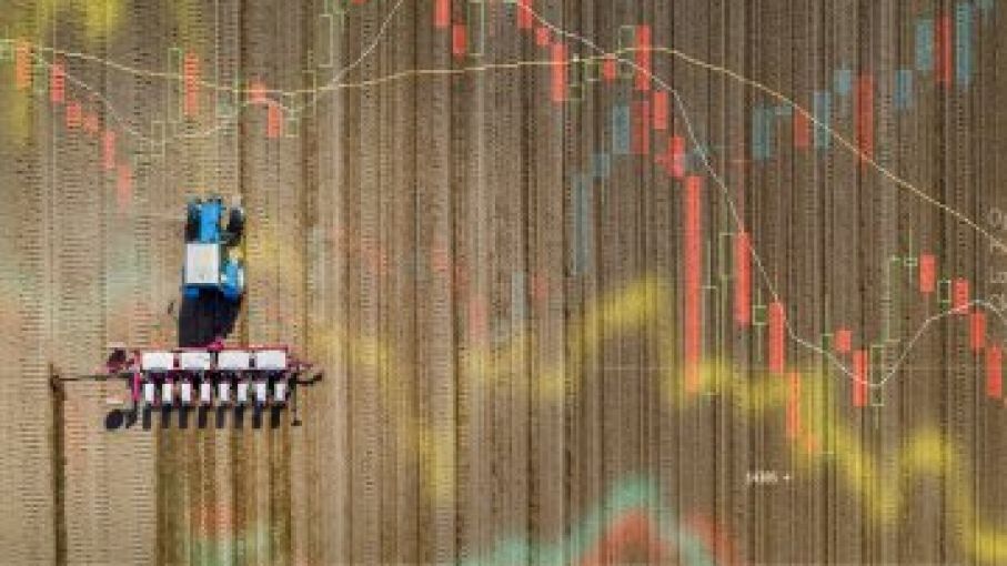 El cierre del mar negro pone en peligro la seguridad alimentaria mundial