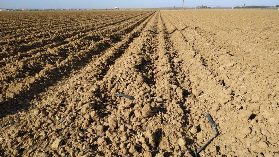 La situación climática pesa fuerte: nadie quiere vender y el mercado se desprende al alza