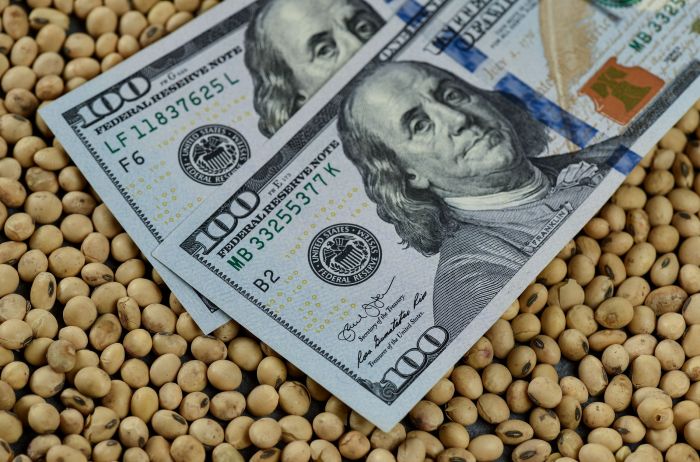 Se llevan vendidas 3,7 millones de toneladas de soja en el marco del Dólar Soja IV