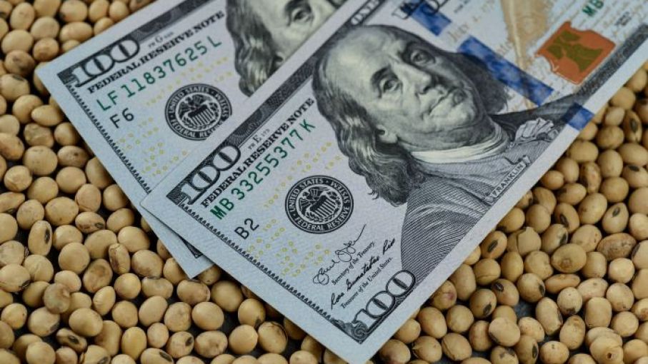 Se comercializaron casi tres millones de toneladas de soja desde que comenzó el dólar soja