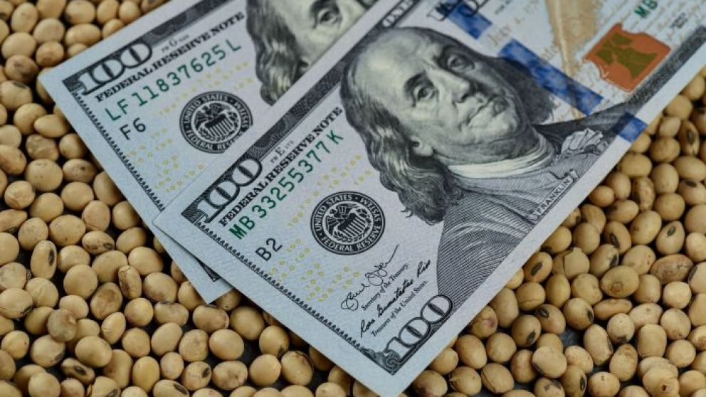 Se llevan vendidas 3,7 millones de toneladas de soja en el marco del Dlar Soja IV