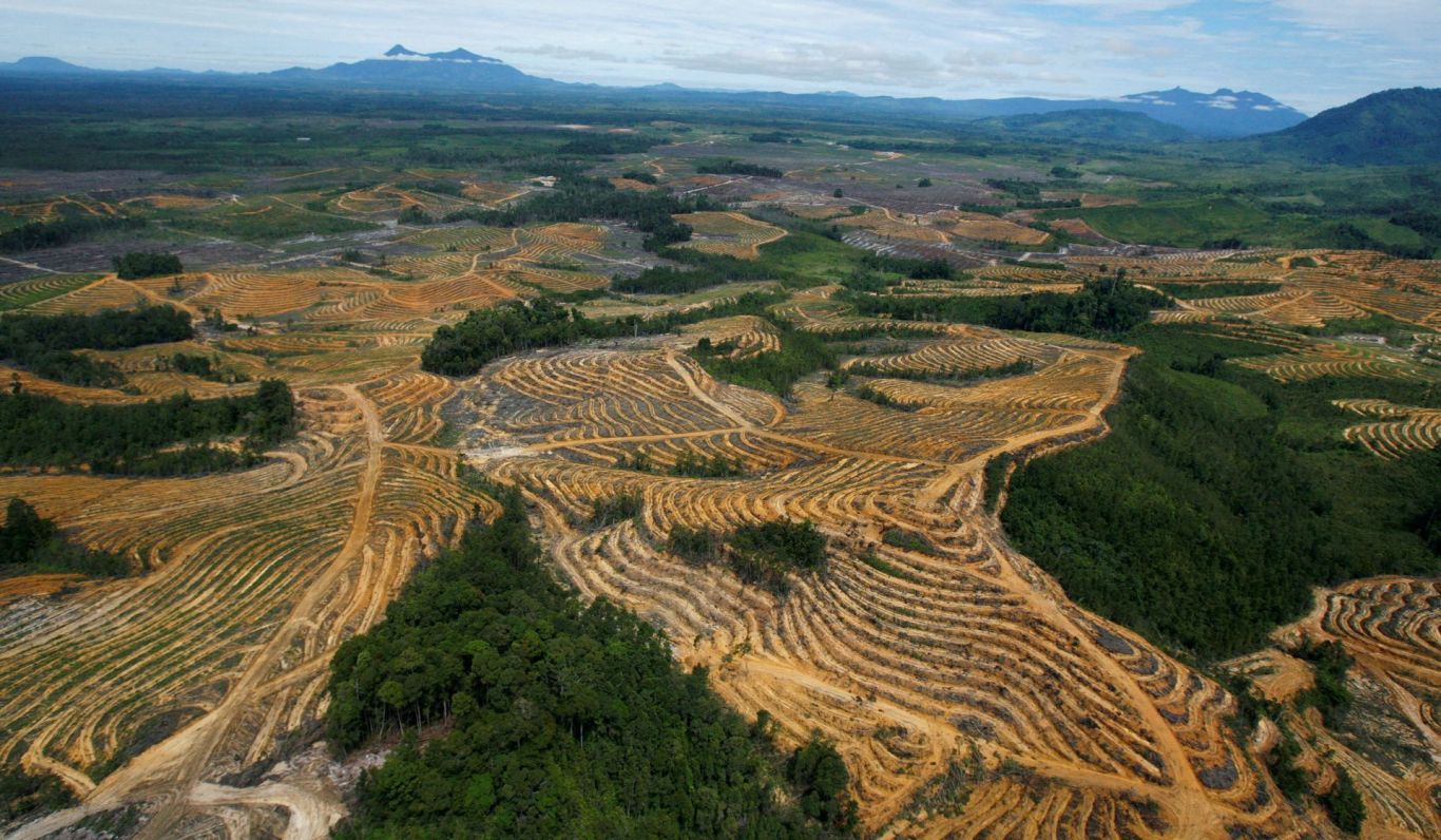 La Unión Europea aplaza un año la norma sobre productos libres de deforestación 