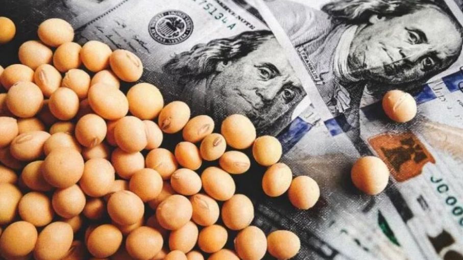 El Programa de Incremento Exportador II próximo a las 5 millones de toneladas operadas de soja