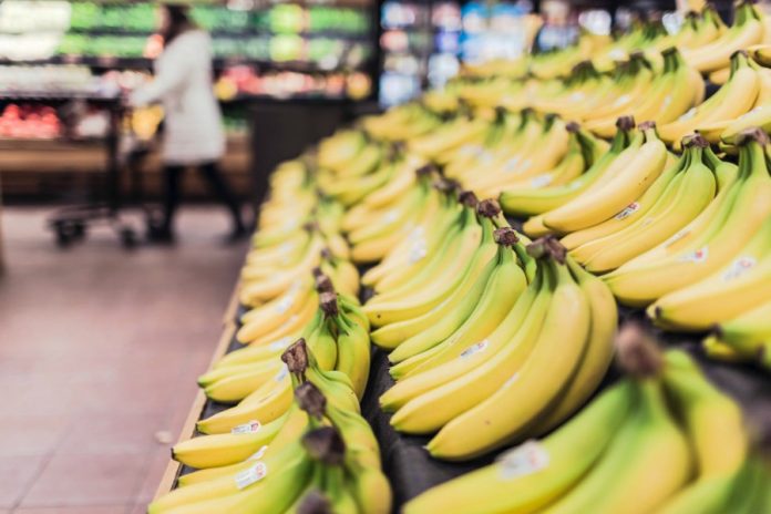 Bananeros de Ecuador esperan para el 2023 una responsabilidad compartida de los supermercados internacionales