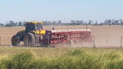 No dejan descargar productos en los puertos ni importar y es "inminente" que falten fertilizantes y agroquímicos