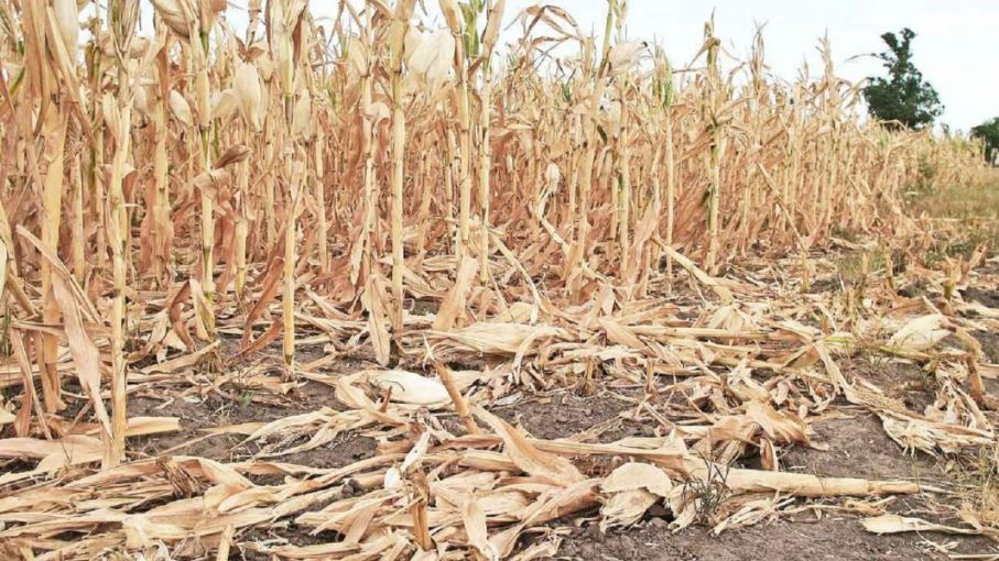 "El país tendrá una merma de ingresos de dólares por el efecto del evento climático "Niña" de 6.600 millones de dólares"