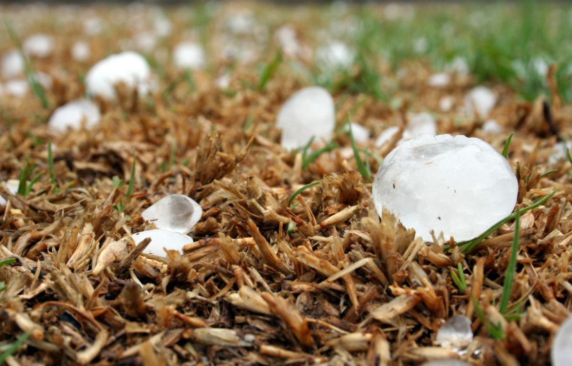 Alerta hoy por tormentas y granizo: Buenos Aires y otras 8 provincias afectadas