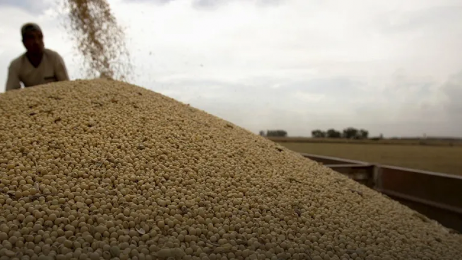 Un Estado de Brasil quiere ponerle un impuesto al campo y los productores lo comparan con Argentina