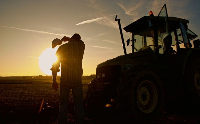 Fuerte ola de calor y lluvias desiguales: el clima impactará en el agro de Argentina y Brasil