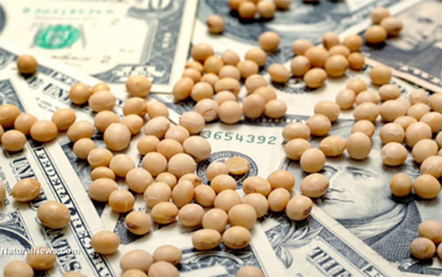 Extensión del Dólar Soja: el balance de la Bolsa de Rosario sobre la medida