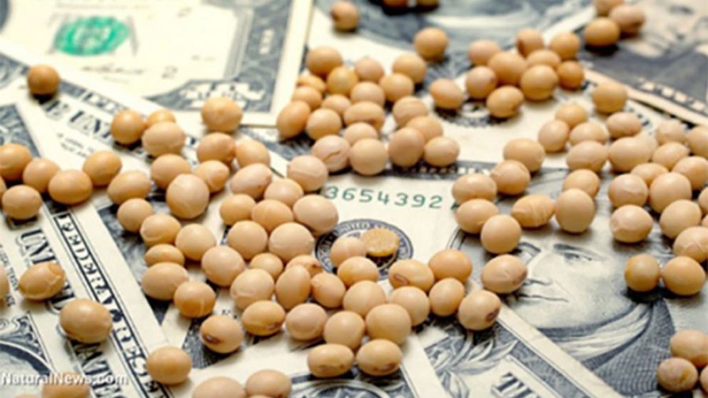 Dolar soja version II; una nueva version anuncia Massa para conseguir U$D 3.000 Millones del Agro