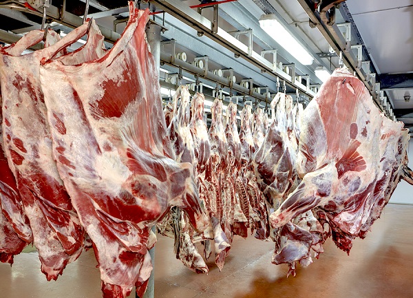 Visto bueno para exportar carne porcina a Taiwán