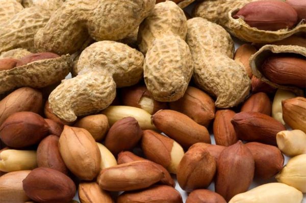 Cítricos, maní, avícolas y pesca piden no estar comprendidos en la suba de retenciones