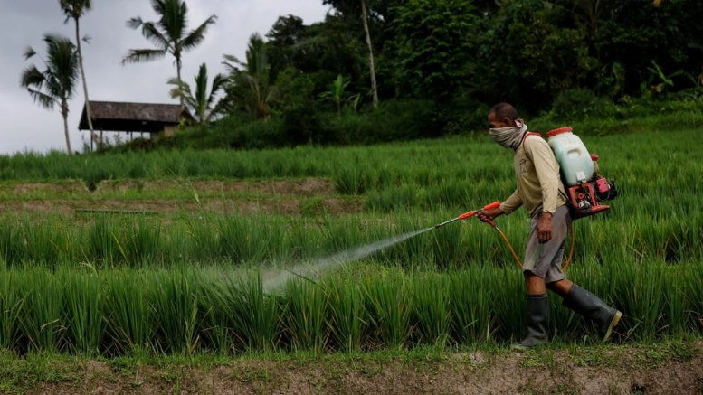 Francia exporta a América Latina pesticidas tóxicos que prohíbe en su propio suelo