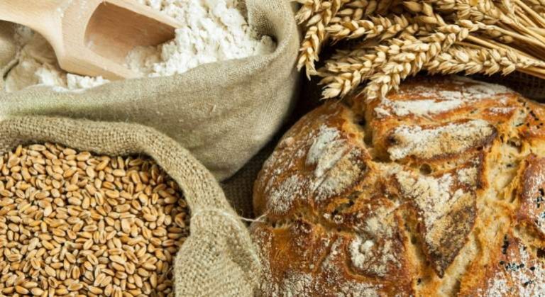 Primeras previsiones sobre la producción mundial de cereales