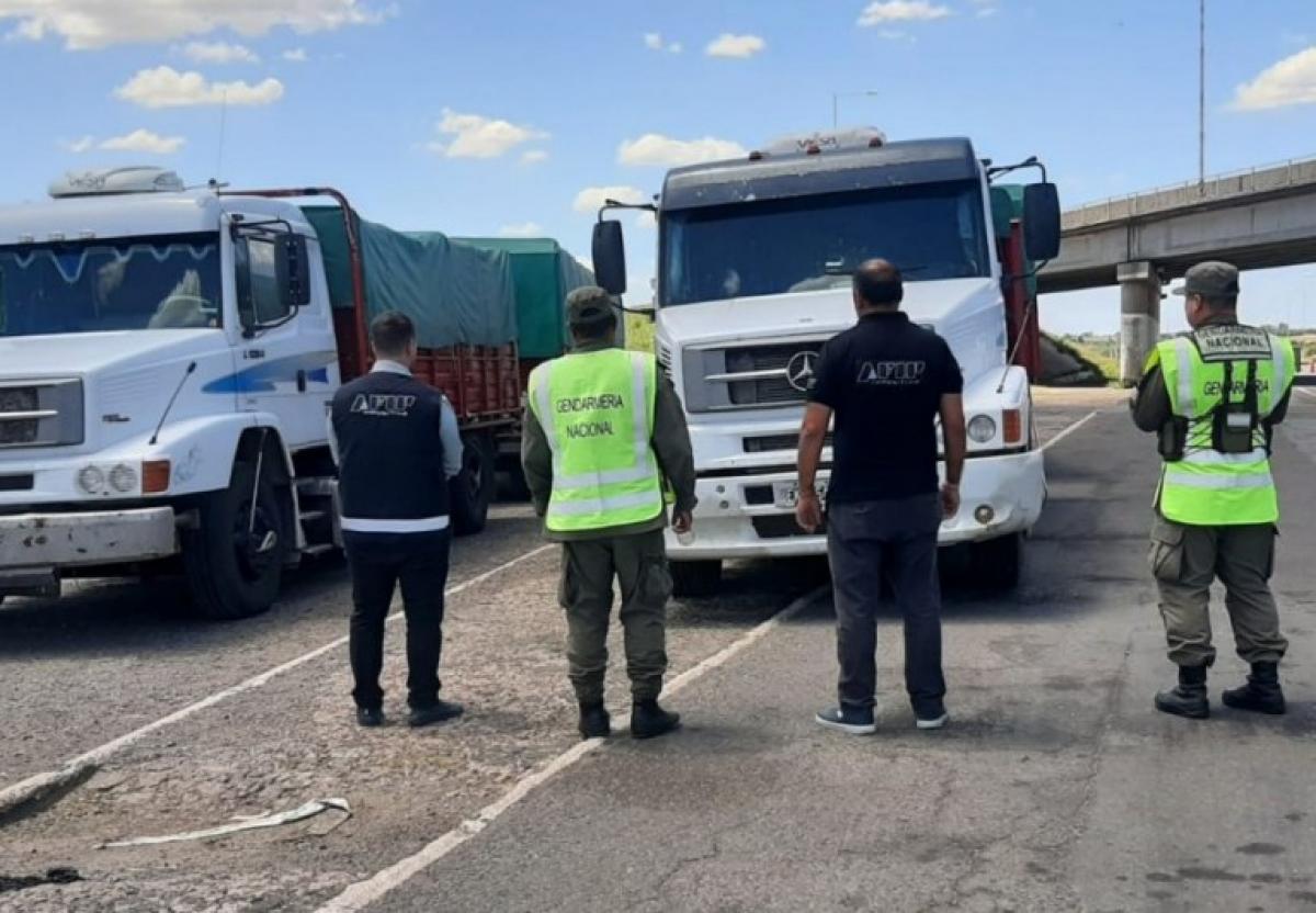 AFIP incautó un contrabando de granos de trigo, soja y maíz valuados en más de $520 millones