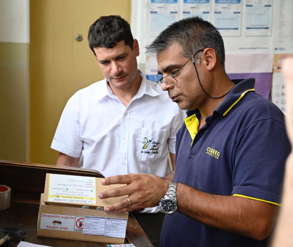 Convenio con el Correo Argentino para traslado de abejas reina desde cabañas habilitadas