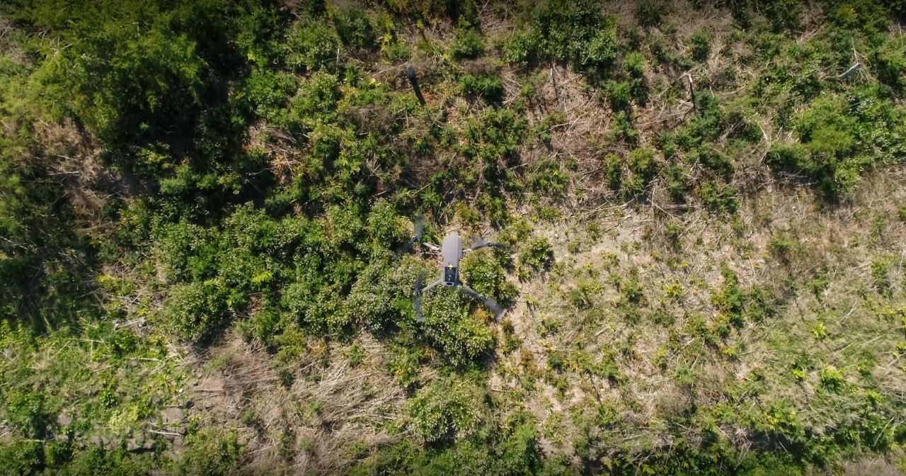 Ambiente incorpora drones en parques nacionales para la detección temprana de incendios forestales