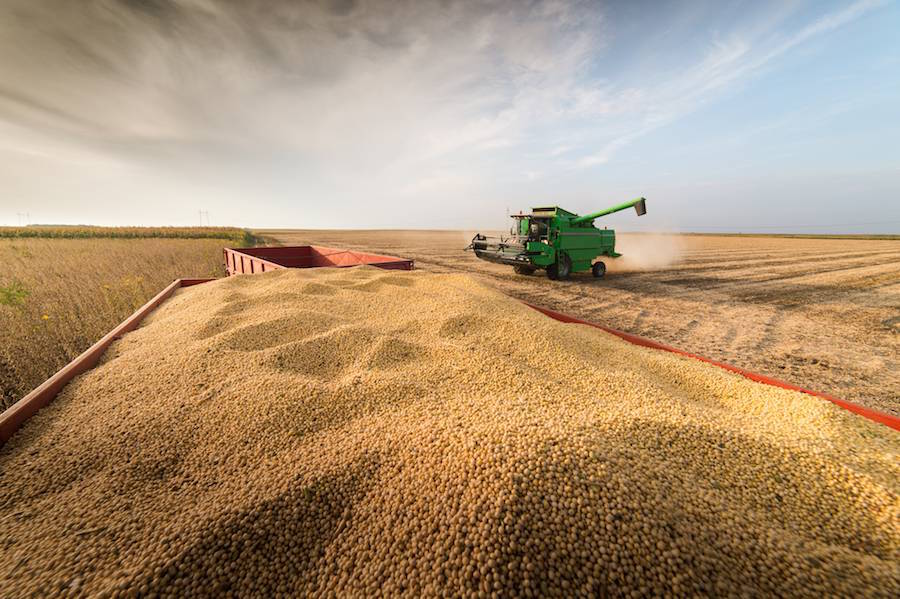 La brecha cambiaria podrá limitar la liquidación del agro
