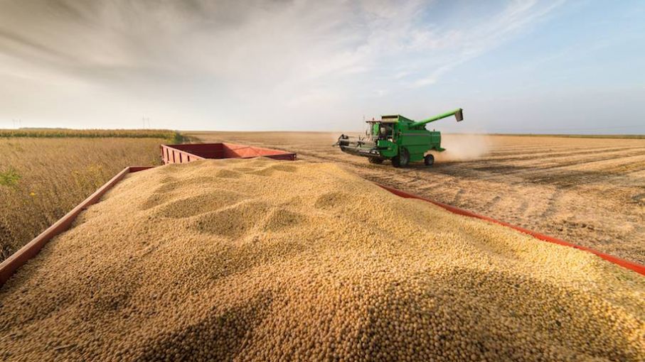 La brecha cambiaria podrá limitar la liquidación del agro