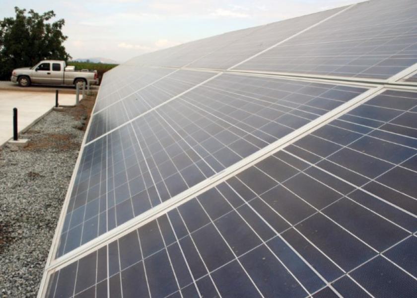 El Departamento de Energía está ampliando los proyectos de "agrovoltaicos" para generar energía y alimentos limpios