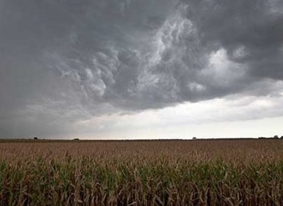 Oscilaciones térmicas y precipitaciones desiguales marcan el agroclima en la región