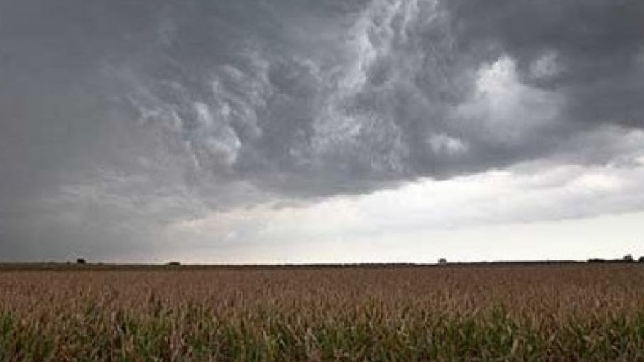 Pronostico Agroclimático Semanal