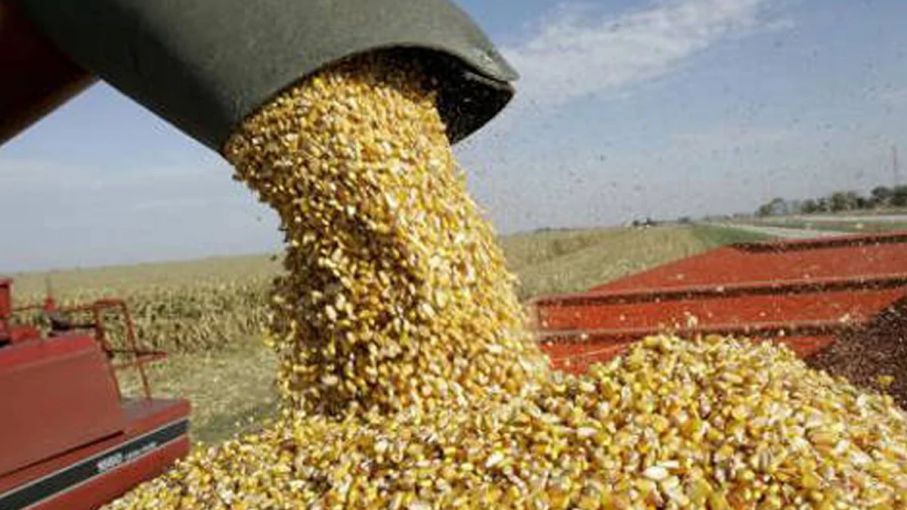 La Bolsa de Rosario y las exportadoras logran acuerdo tras retiro de Cargill y ADM del mercado