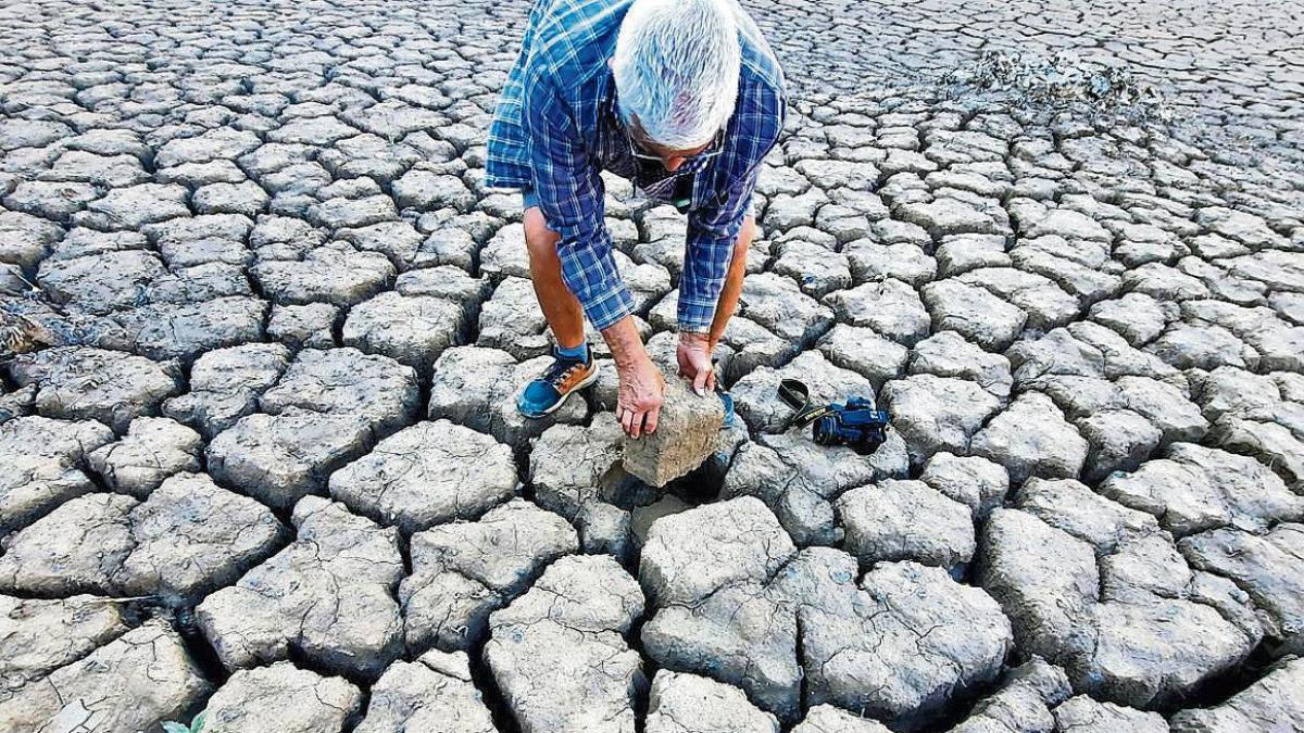 El calor extremo y las sequías afectarán al 90% de la población si no se revierte el calentamiento global, según expertos de Oxford