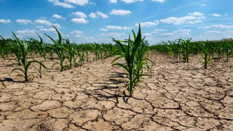 "Los ciclos productivos no se recomponen en una semana "