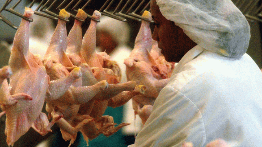 Se destraban las importaciones de pollo y resurge la polémica