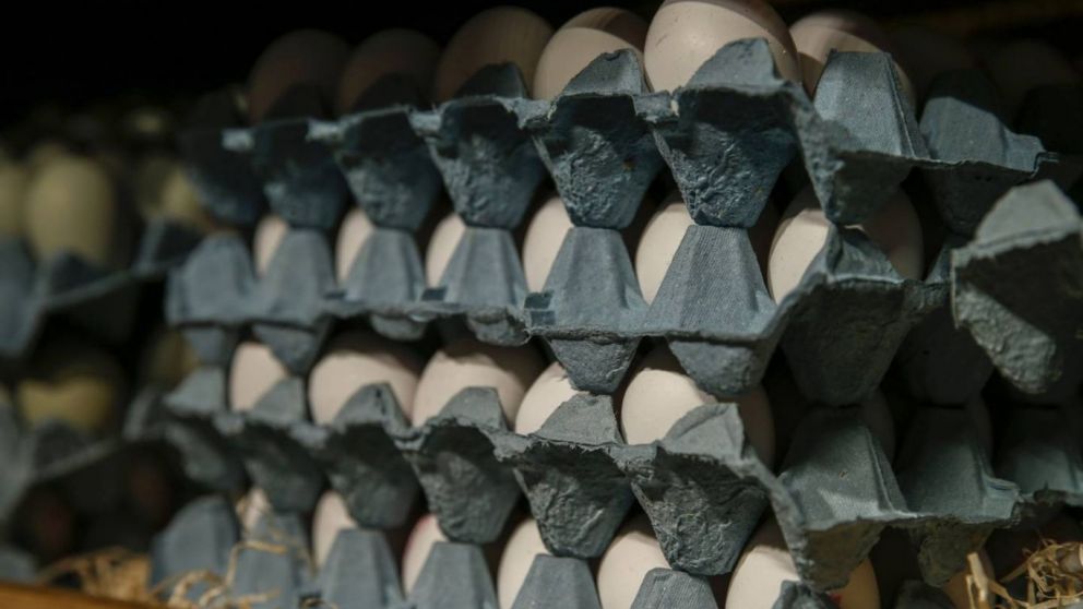 Repblica Dominicana suspende exportacin de huevos a Hait y otros mercados