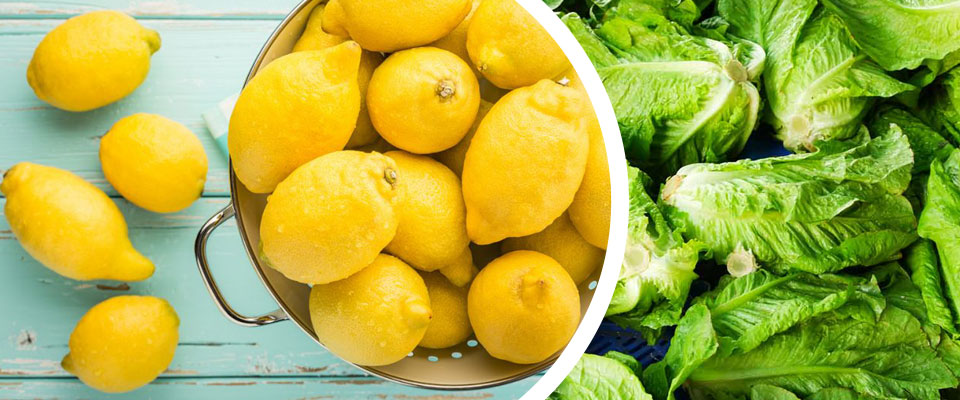 La lechuga y el limón, los productos que más aumentaron en el año