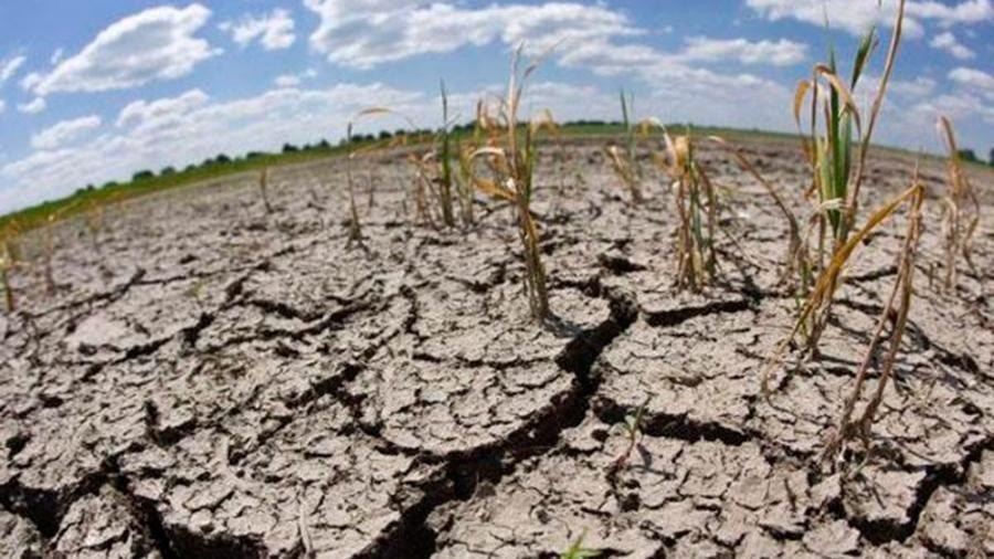 Advierten que no hay manejo agronómico que soporte la peor sequía de los últimos 60 años