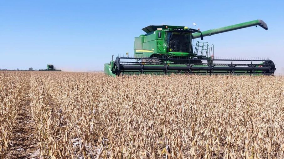 Sequía: la soja aportaría casi USD 8.000 millones menos que en 2022