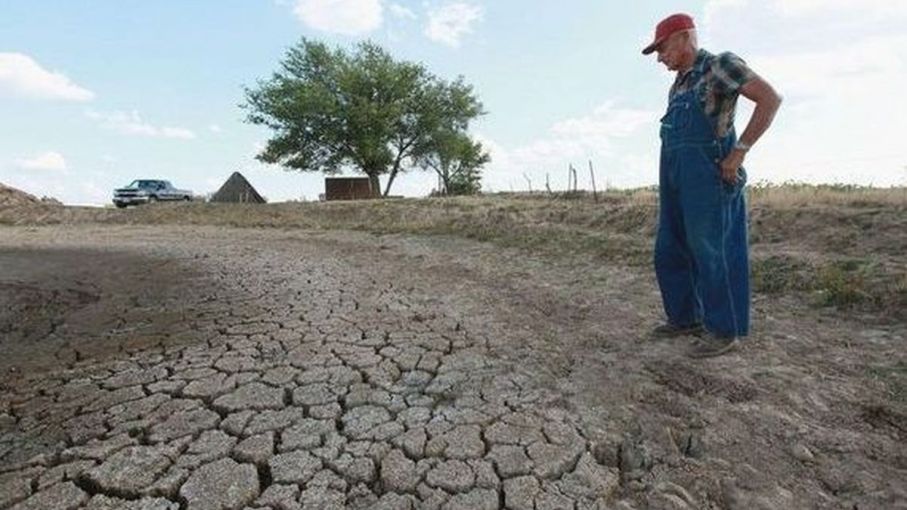 Decretan emergencia agropecuaria en la provincia del Chaco