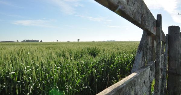 Sube el Índice FADA: 67,2% ¿Cómo nos afecta la sequía?