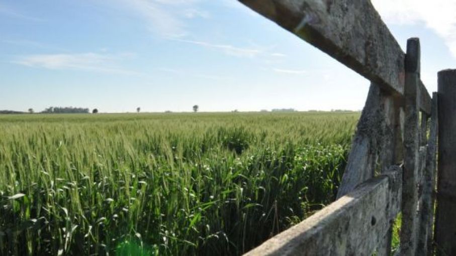 Sube el Índice FADA: 67,2% ¿Cómo nos afecta la sequía?