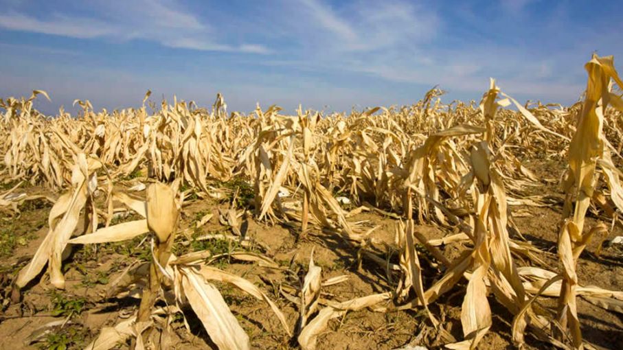 Bahillo y Castagneto dieron comienzo a las reuniones para definir medidas de ayuda para productores