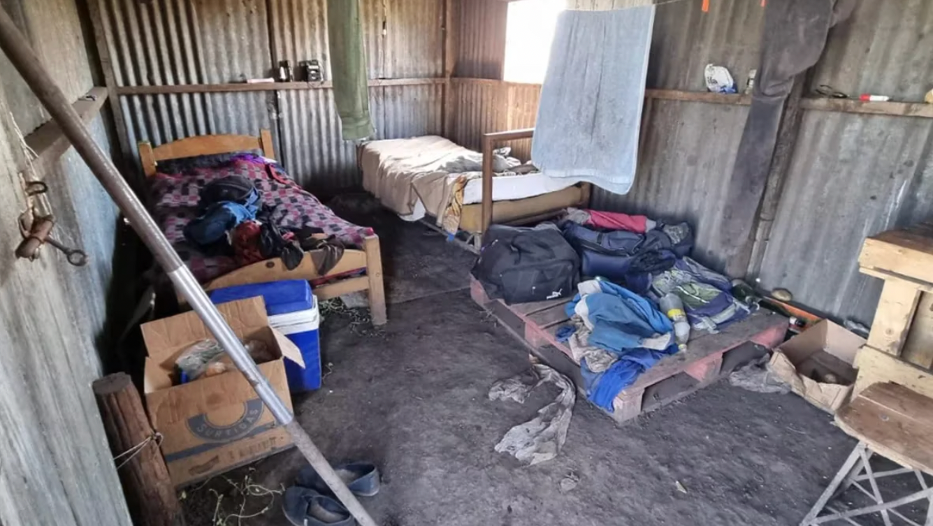 Detectaron explotación laboral en campos paperos de la provincia de Buenos Aires