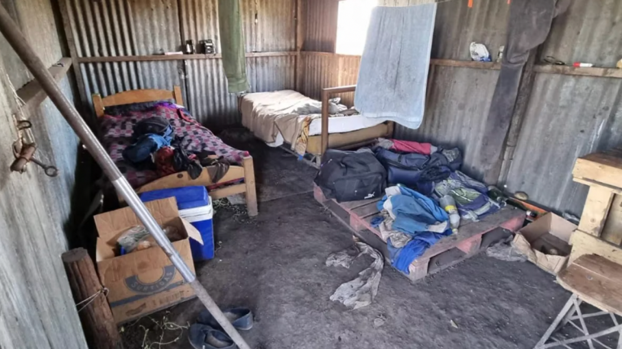 Detectaron explotación laboral en campos paperos de la provincia de Buenos Aires