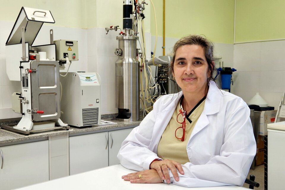 El Conicet desarrolló un yogur probiótico que previene enfermedades