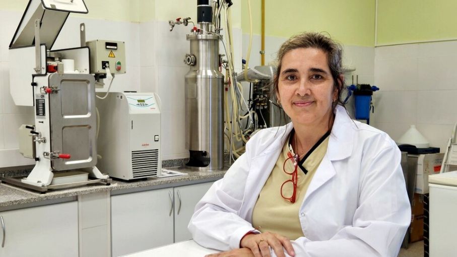 El Conicet desarrolló un yogur probiótico que previene enfermedades