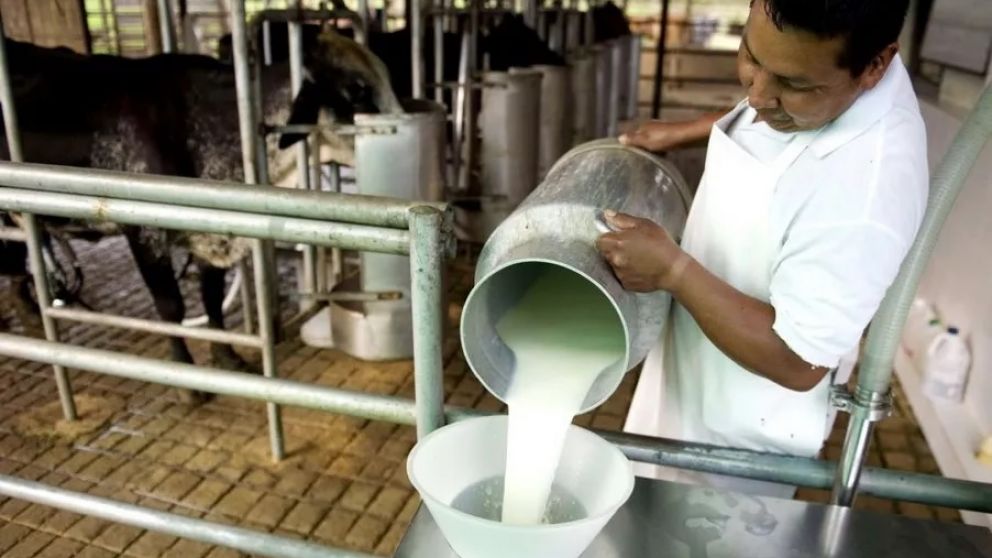 La suspensin de las retenciones a los lcteos deben llegar al productor