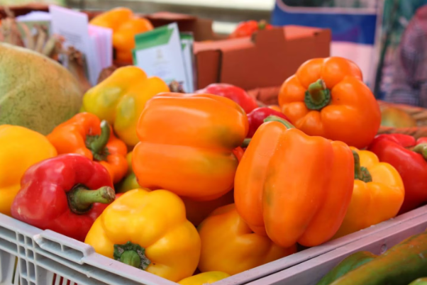 Estas son las frutas y verduras que más exportó Honduras a Estados Unidos