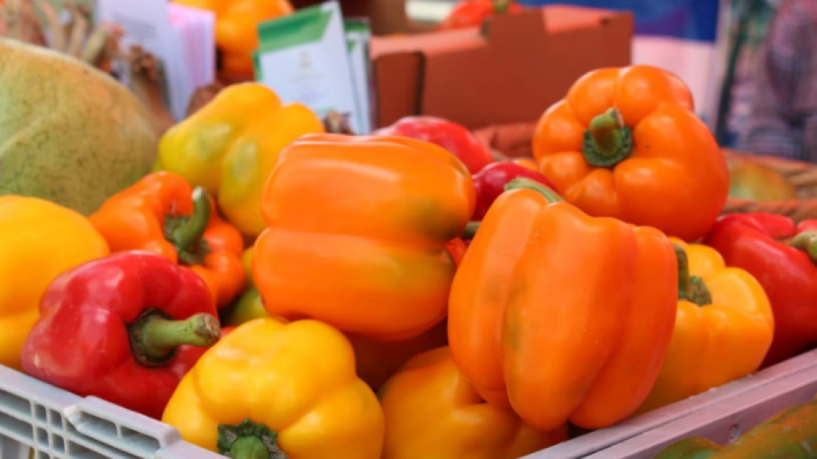 Estas son las frutas y verduras que más exportó Honduras a Estados Unidos