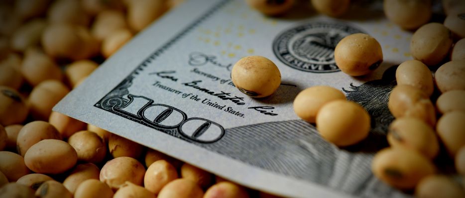 Los agroexportadores se despegan del nuevo dólar soja
