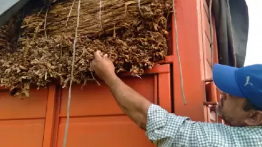 AFIP decomisó 26.000 kilos de tabaco en Tucumán