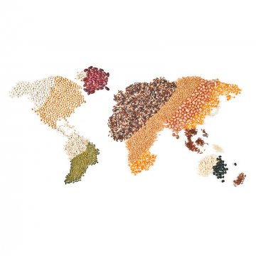 Que esta caudando la crisis alimentaria en europa?